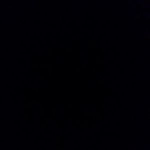 Meet your Posher, Rob